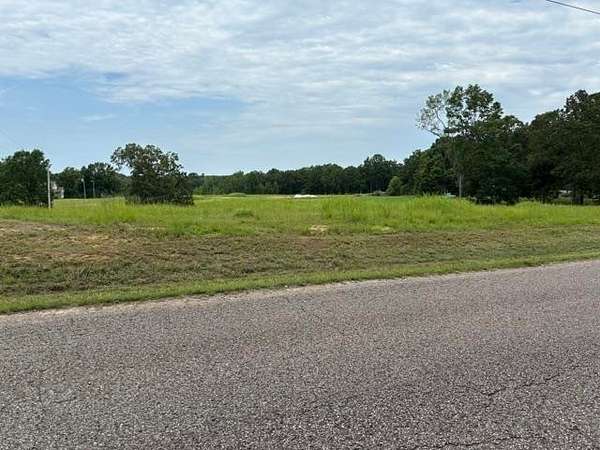 31 Acres of Agricultural & Residential Land for Sale in Bethel Springs, Tennessee