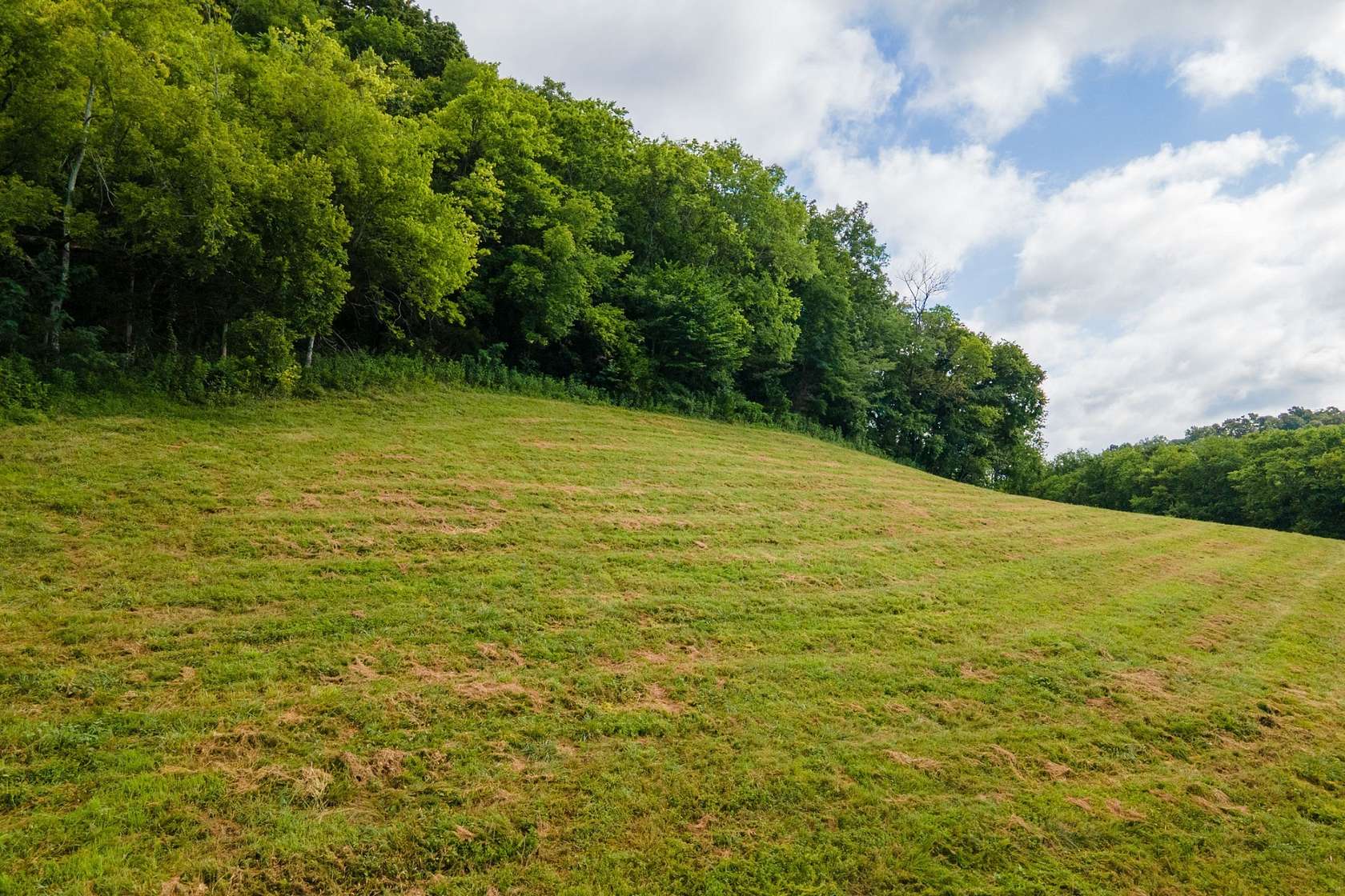 42 Acres of Land for Sale in Pleasant Shade, Tennessee