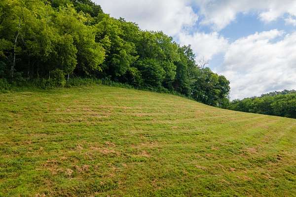 42 Acres of Land for Sale in Pleasant Shade, Tennessee