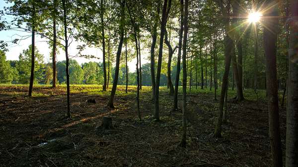 5.57 Acres of Residential Land for Sale in Pleasant View, Tennessee