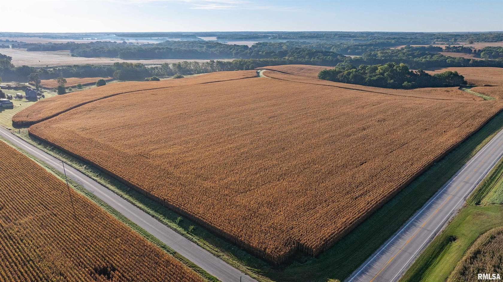 73 Acres of Land for Sale in Maquon, Illinois