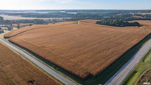 73 Acres of Land for Sale in Maquon, Illinois