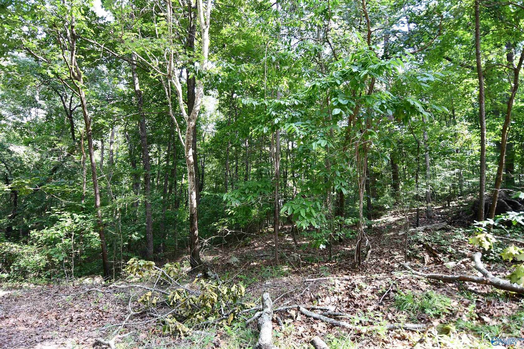 0.64 Acres of Residential Land for Sale in Southside, Alabama