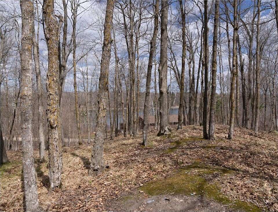 12 Acres of Recreational Land for Sale in Little Elbow Township, Minnesota