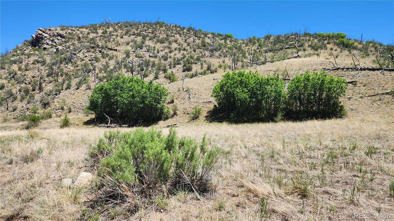 2.45 Acres of Land for Sale in Cotopaxi, Colorado