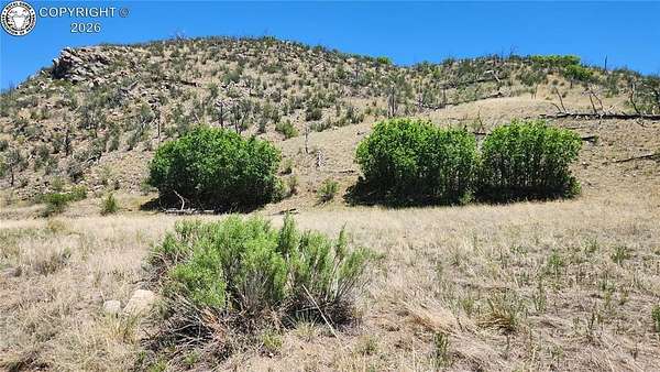 2.45 Acres of Land for Sale in Cotopaxi, Colorado