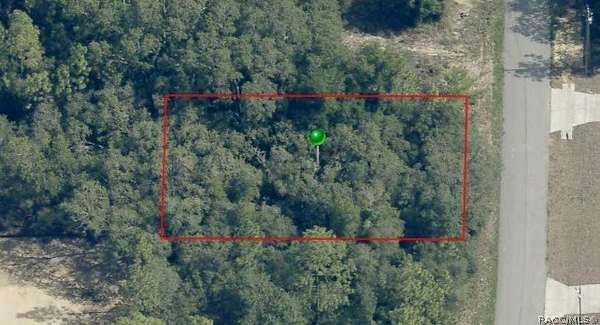0.23 Acres of Land for Sale in Dunnellon, Florida