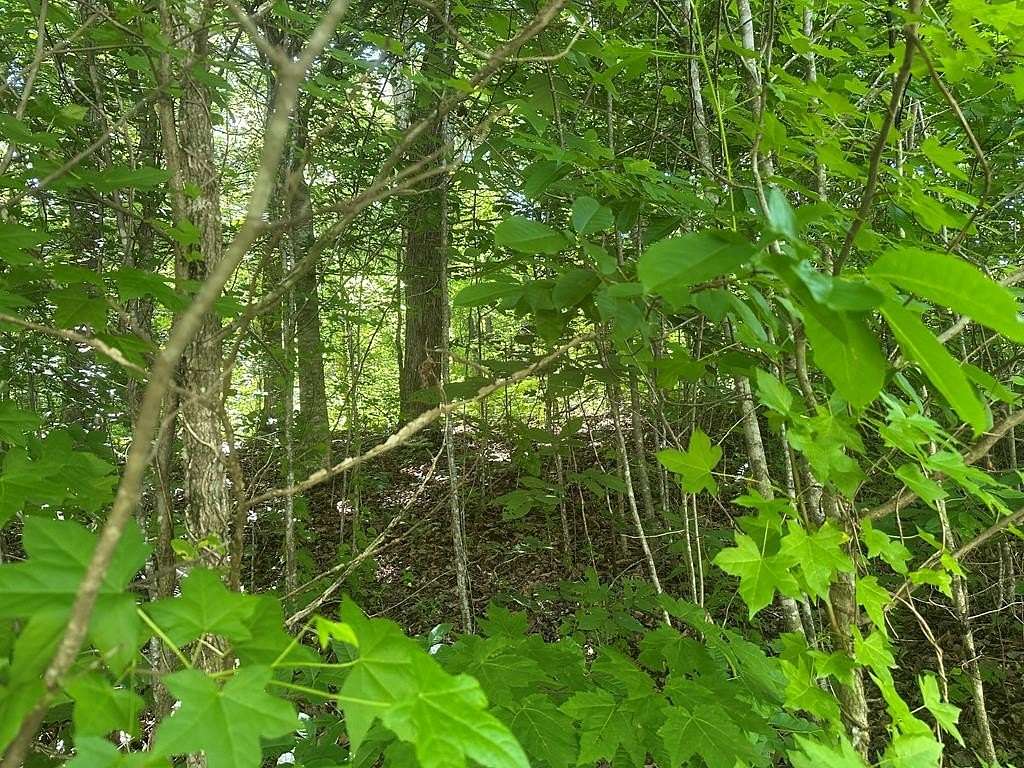 5 Acres of Residential Land for Sale in Jamestown, Tennessee