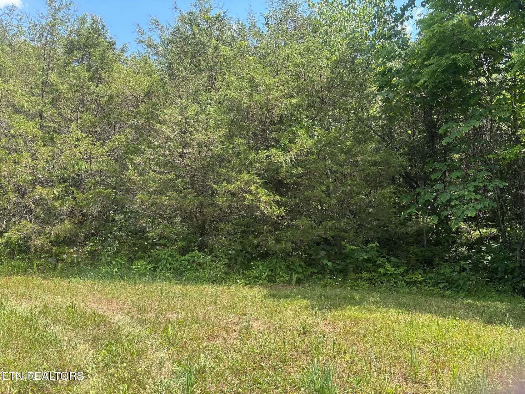 159 Acres of Land for Sale in Sneedville, Tennessee
