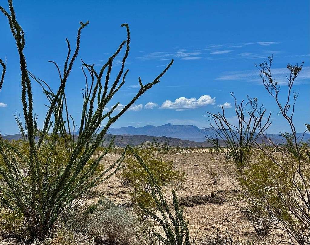 10 Acres of Recreational Land for Sale in Terlingua, Texas
