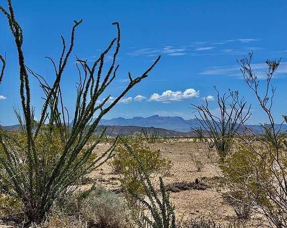 10 Acres of Recreational Land for Sale in Terlingua, Texas