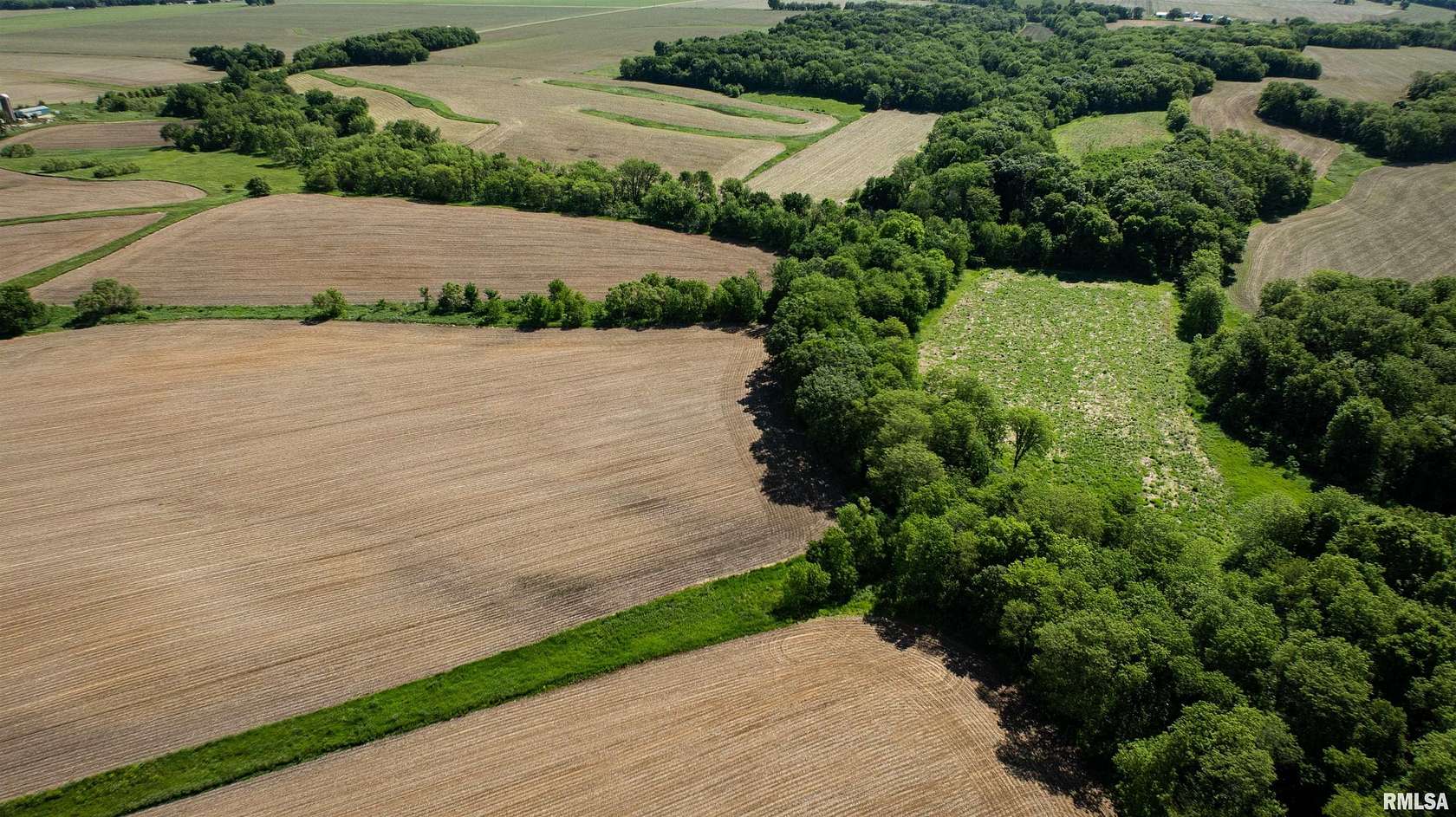 80 Acres of Land for Sale in Maquon, Illinois