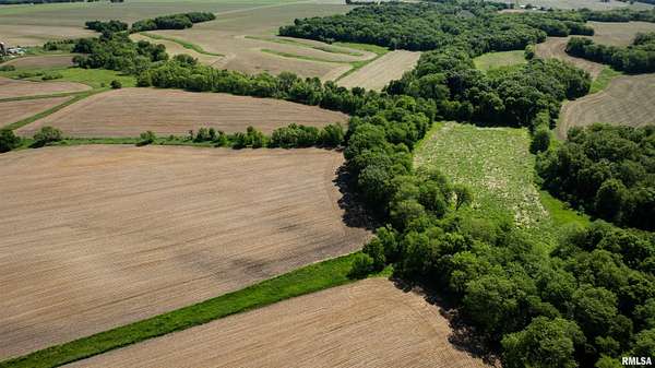 80 Acres of Land for Sale in Maquon, Illinois