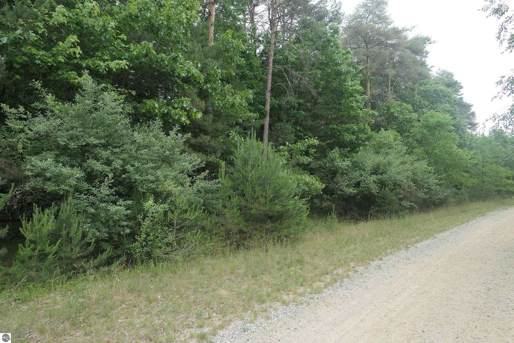 2.58 Acres of Land for Sale in Vestaburg, Michigan