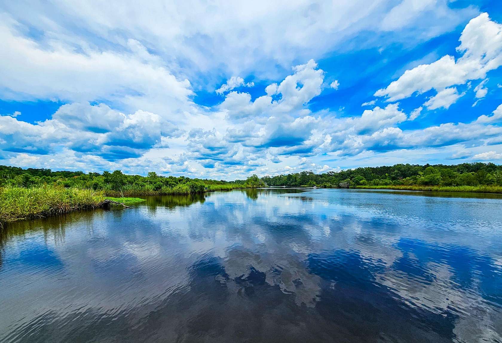 6 Acres of Improved Mixed-Use Land for Sale in Green Pond, South Carolina