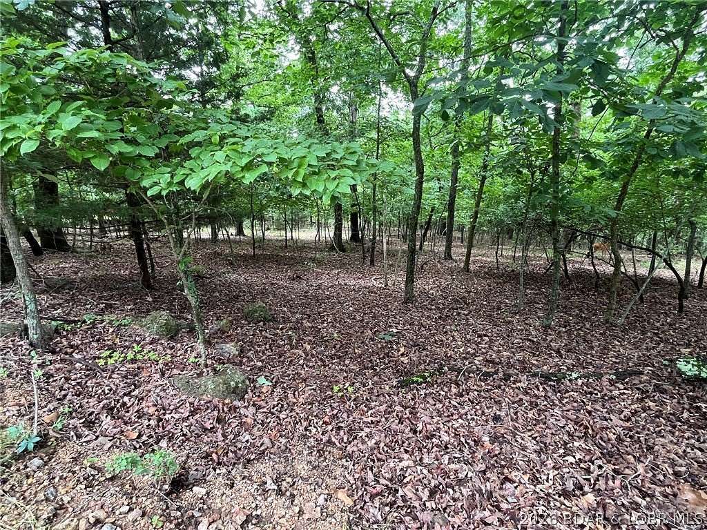 0.51 Acres of Residential Land for Sale in Lake Ozark, Missouri
