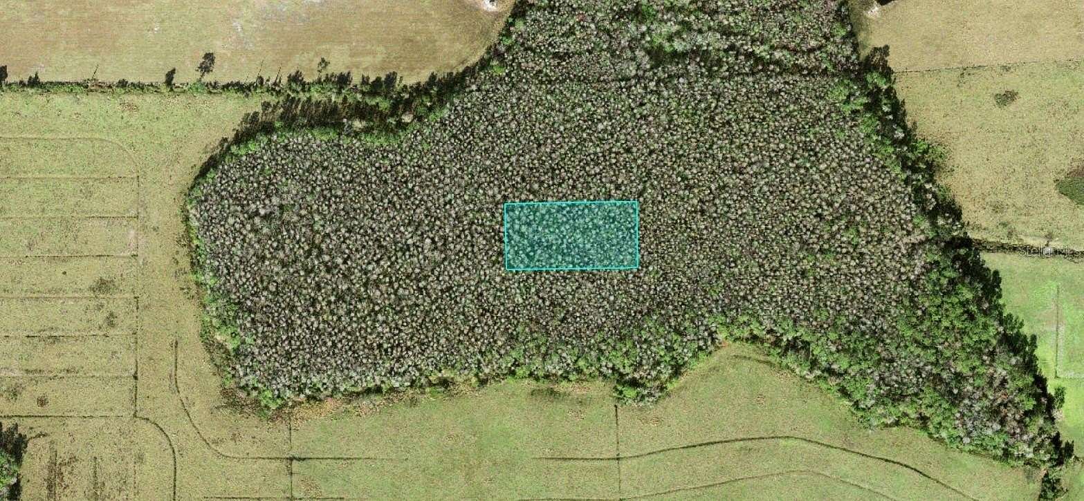 1.25 Acres of Residential Land for Sale in Polk City, Florida