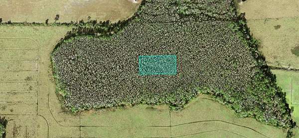 1.25 Acres of Residential Land for Sale in Polk City, Florida