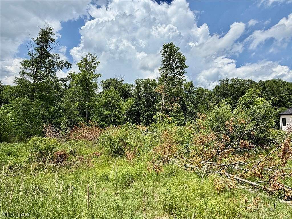 0.7 Acres of Residential Land for Sale in Poland, Ohio