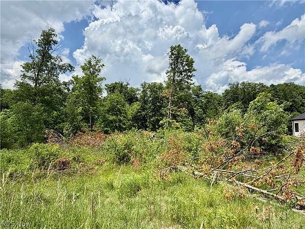 0.7 Acres of Residential Land for Sale in Poland, Ohio