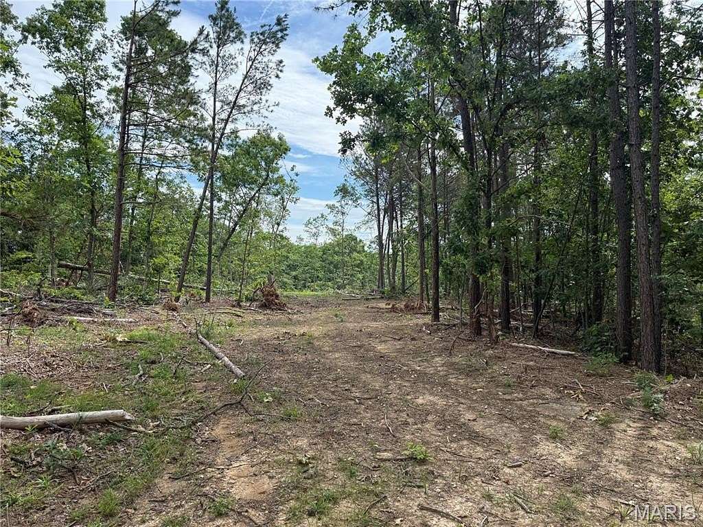 60 Acres of Recreational Land for Sale in Annapolis, Missouri