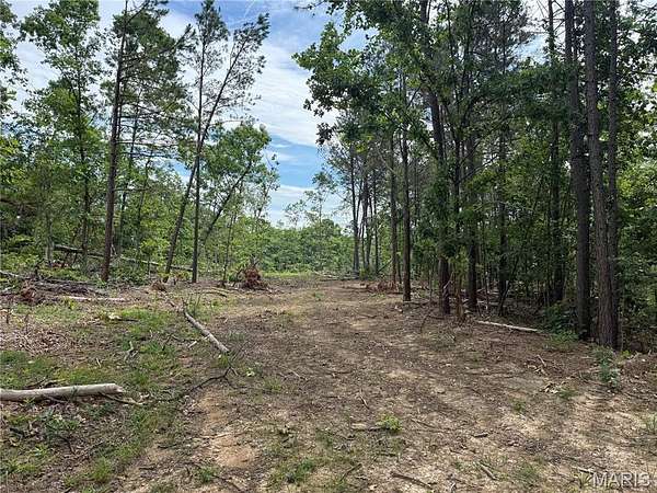 60 Acres of Recreational Land for Sale in Annapolis, Missouri