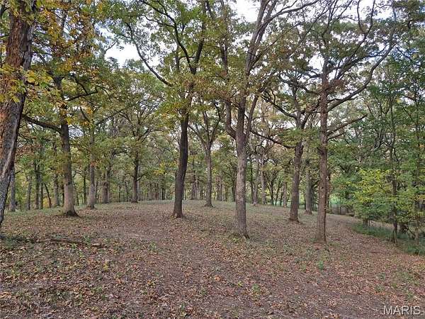 14 Acres of Land for Sale in Eolia, Missouri