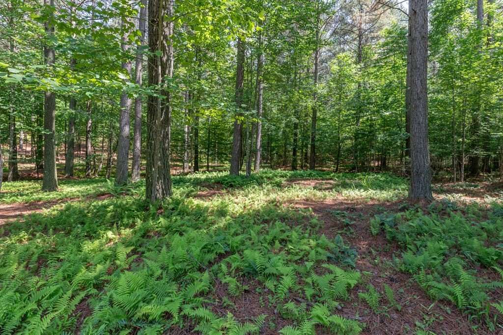 3.55 Acres of Residential Land for Sale in Blairsville, Georgia