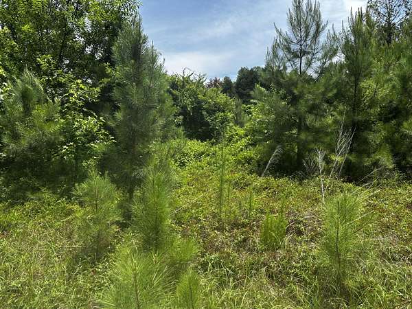 0.68 Acres of Residential Land for Sale in Sumter, South Carolina