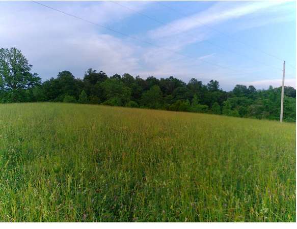 125 Acres of Land for Auction in Campbellsville, Kentucky