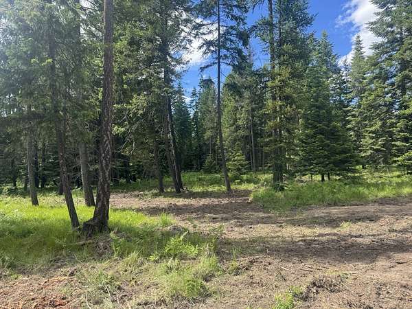 5 Acres of Land for Sale in Thompson Falls, Montana