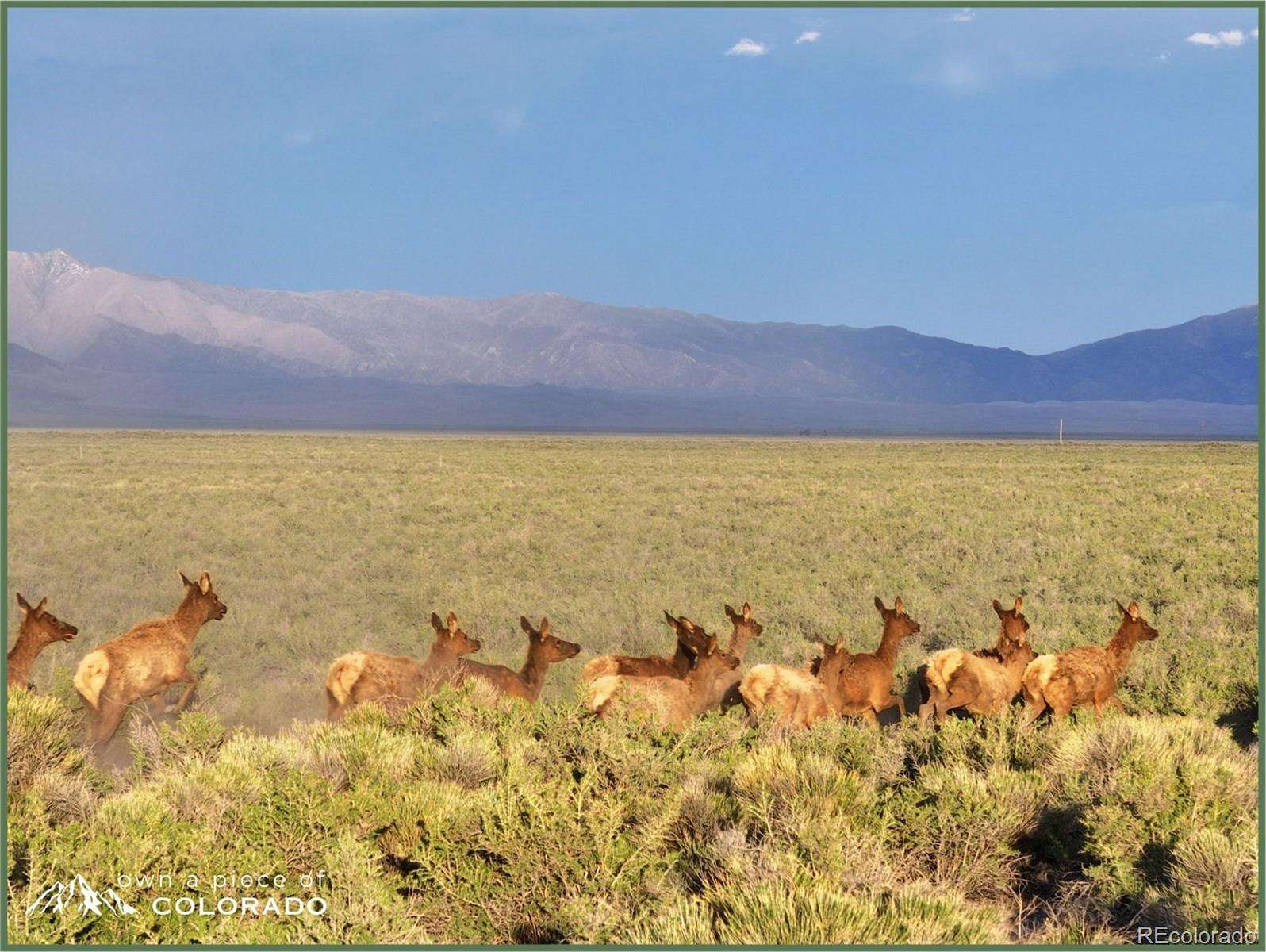 35 Acres of Agricultural & Residential Land for Sale in Mosca, Colorado
