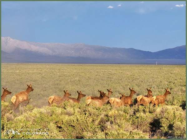 35 Acres of Agricultural & Residential Land for Sale in Mosca, Colorado