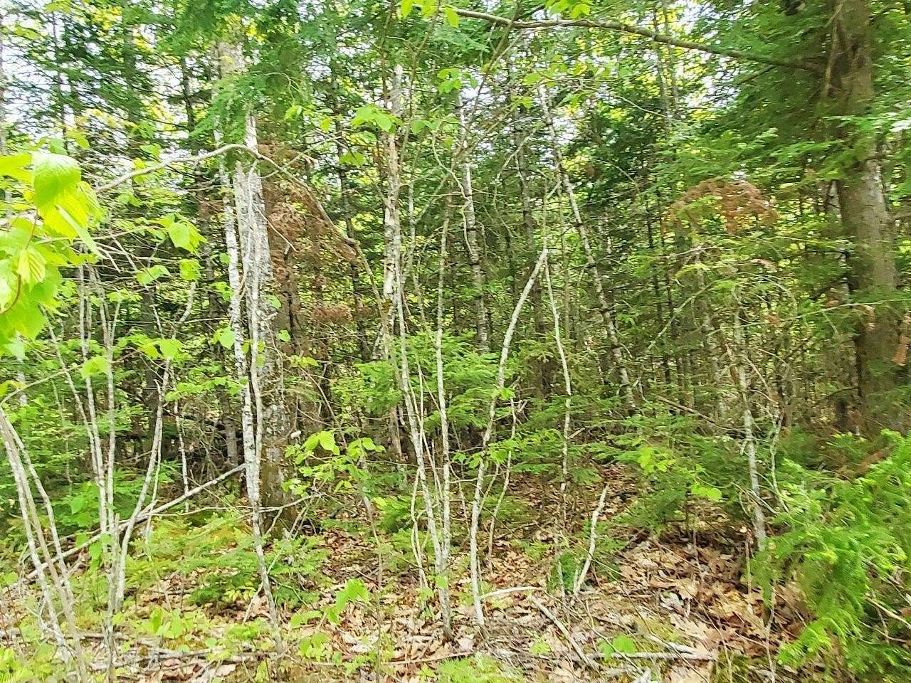 11 Acres of Recreational Land for Sale in Atkinson Town, Maine