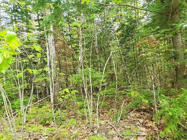 11 Acres of Recreational Land for Sale in Atkinson Town, Maine
