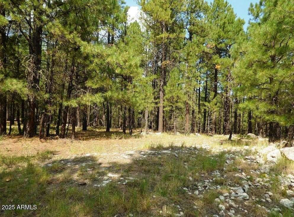 15.3 Acres of Recreational & Residential Land for Sale in Happy Jack, Arizona