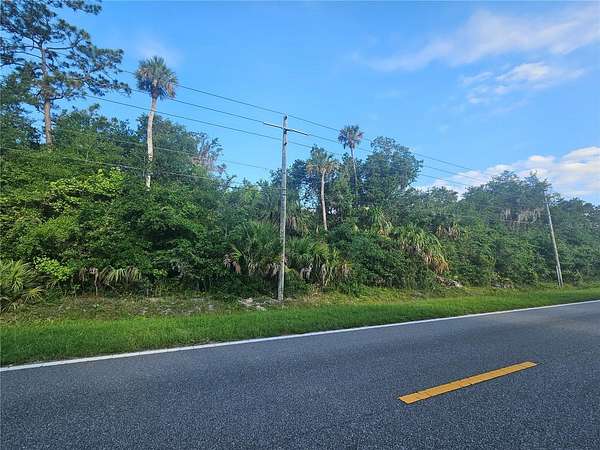 10.5 Acres of Land for Sale in Geneva, Florida