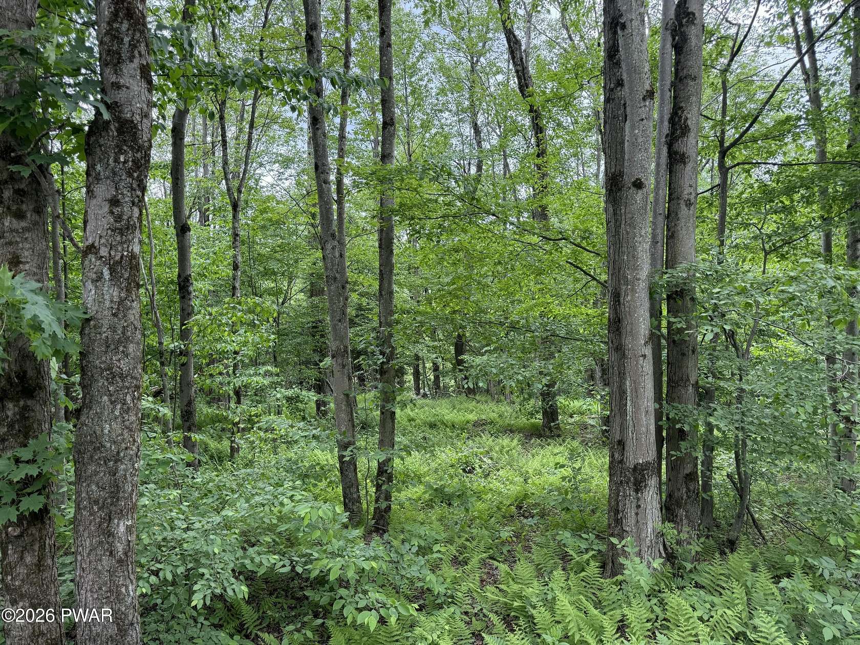 56 Acres of Land for Sale in Lakewood, Pennsylvania
