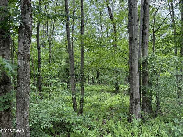 56 Acres of Land for Sale in Lakewood, Pennsylvania