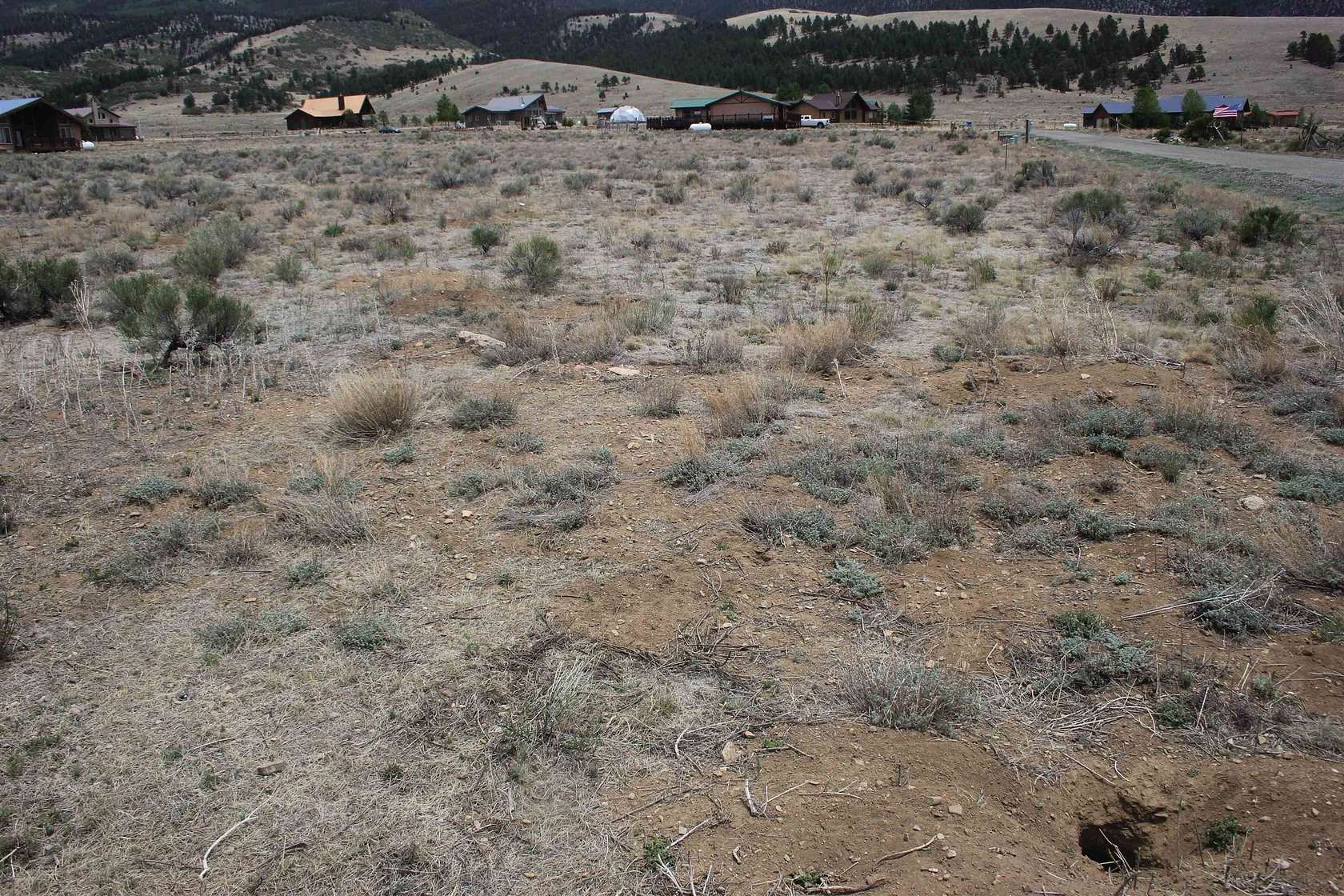 1 Acre of Residential Land for Sale in Eagle Nest, New Mexico