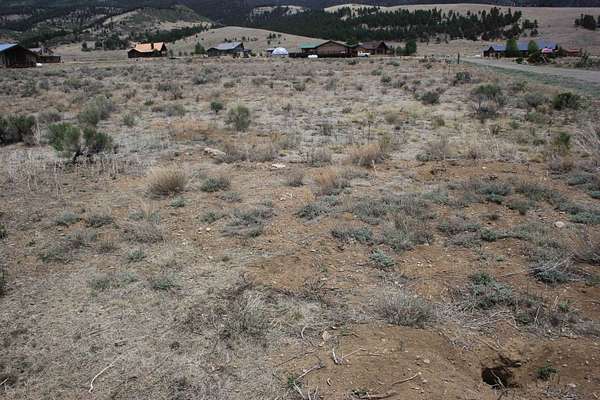 1 Acre of Residential Land for Sale in Eagle Nest, New Mexico