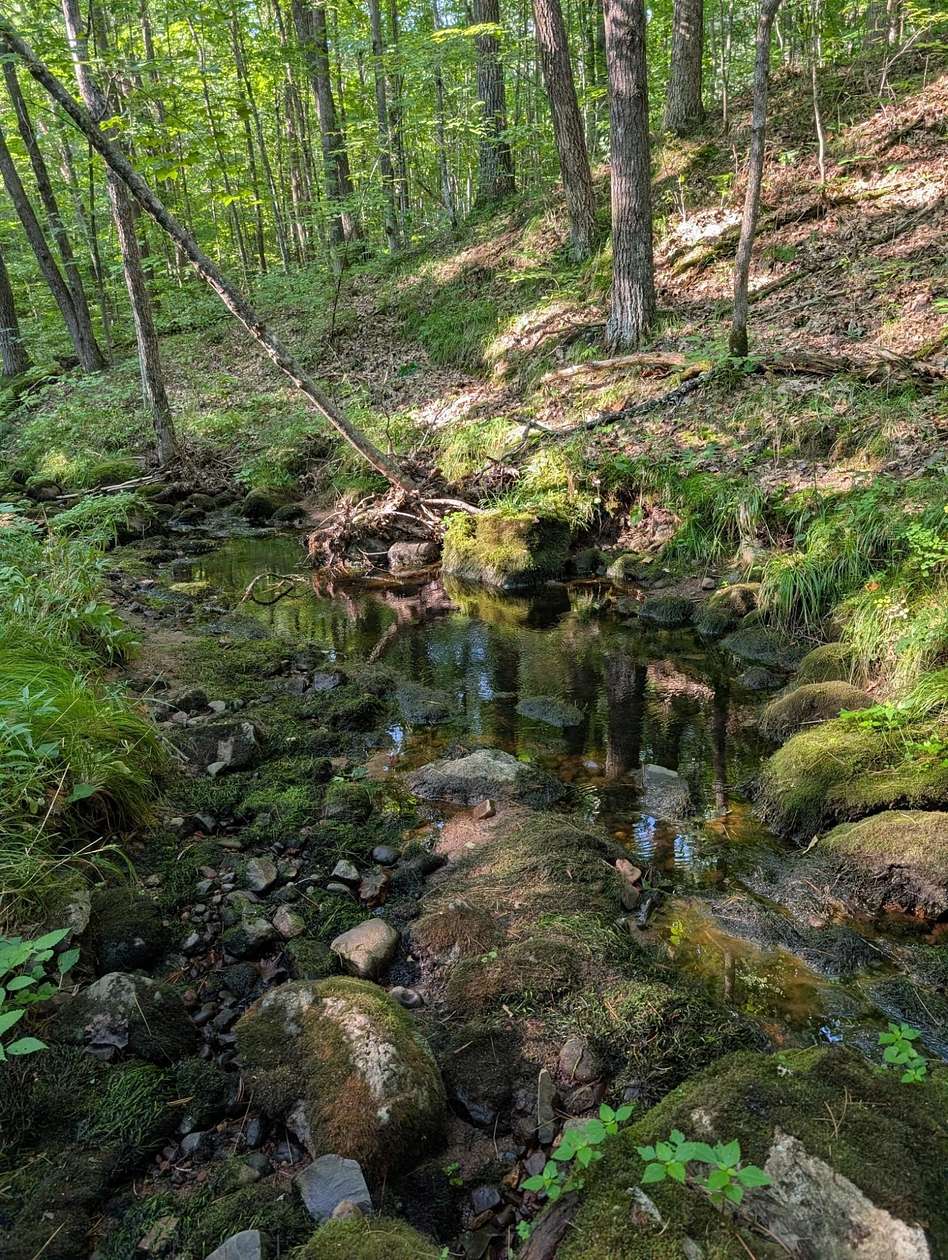 49 Acres of Recreational Land for Sale in Exeland, Wisconsin
