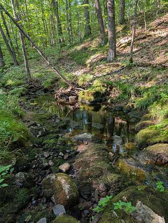49 Acres of Recreational Land for Sale in Exeland, Wisconsin