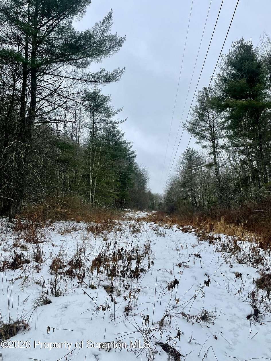 99.3 Acres of Recreational & Residential Land for Sale in Little Meadows, Pennsylvania