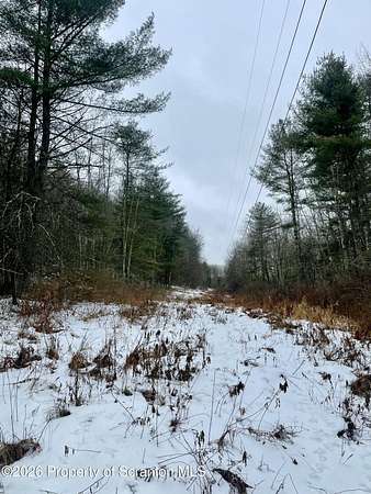 99.3 Acres of Recreational & Residential Land for Sale in Little Meadows, Pennsylvania