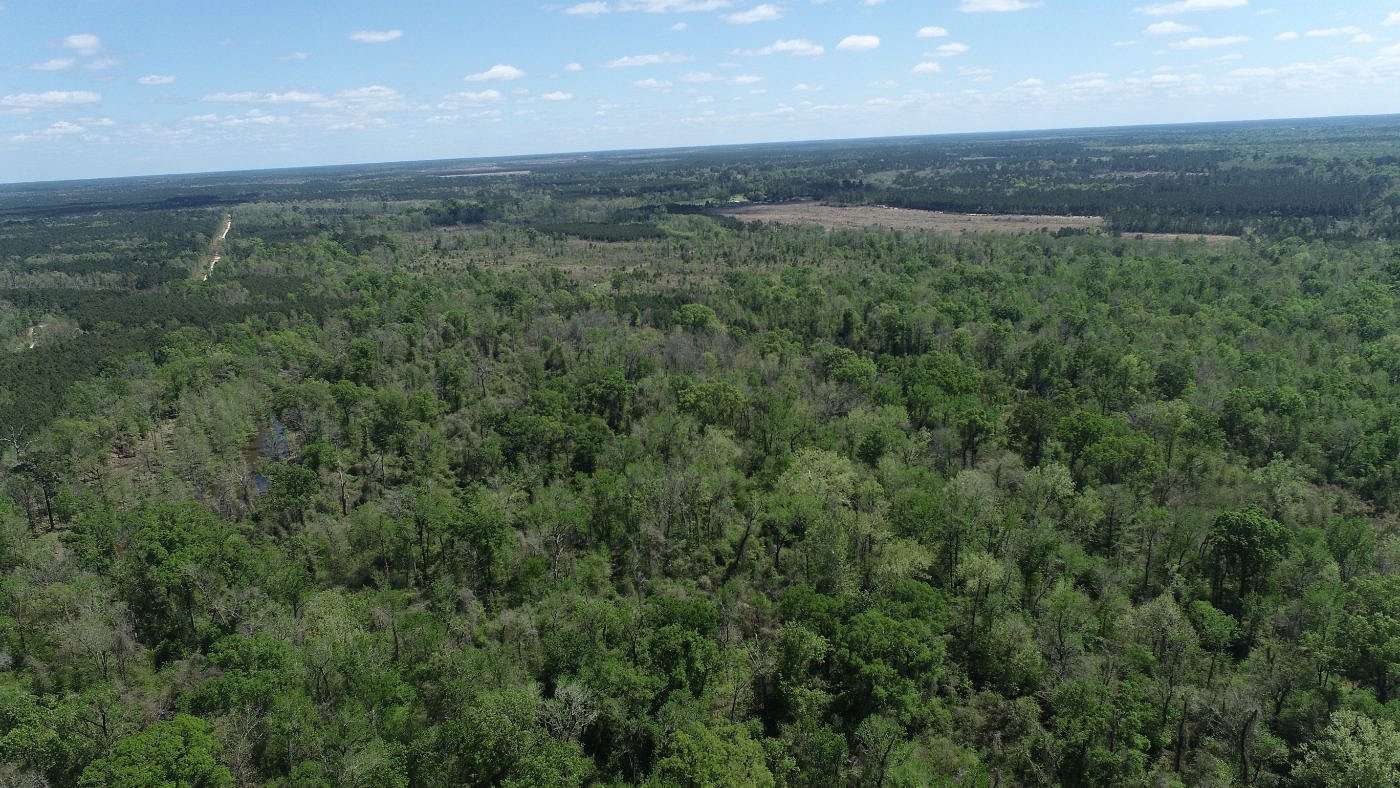 56 Acres of Recreational Land for Sale in Merryville, Louisiana