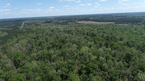 86.5 Acres of Recreational Land for Sale in Merryville, Louisiana