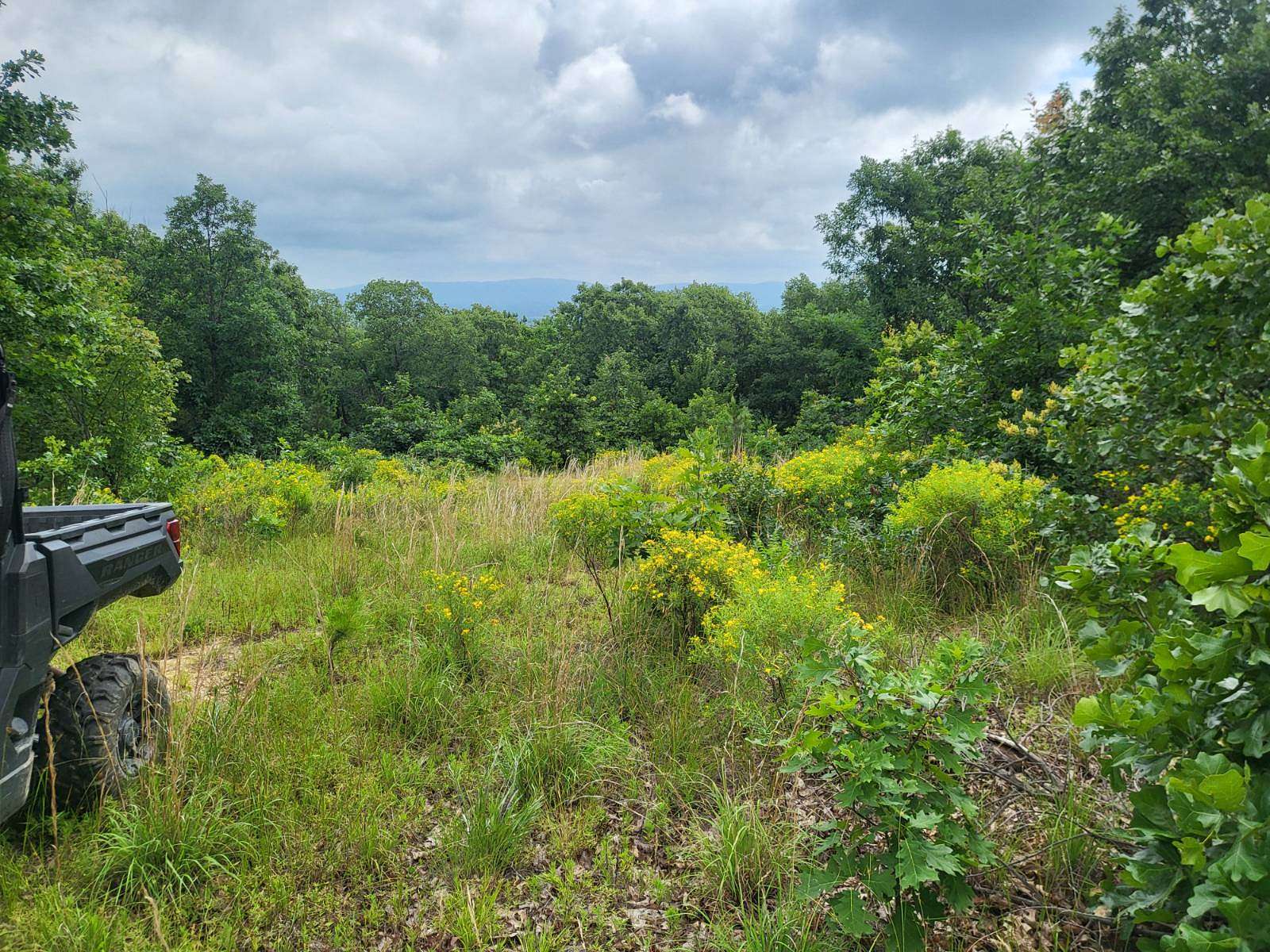 20 Acres of Recreational Land for Sale in Talihina, Oklahoma