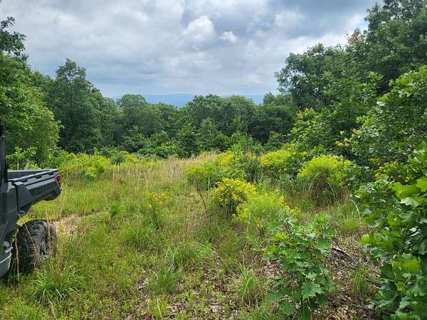 20 Acres of Recreational Land for Sale in Talihina, Oklahoma