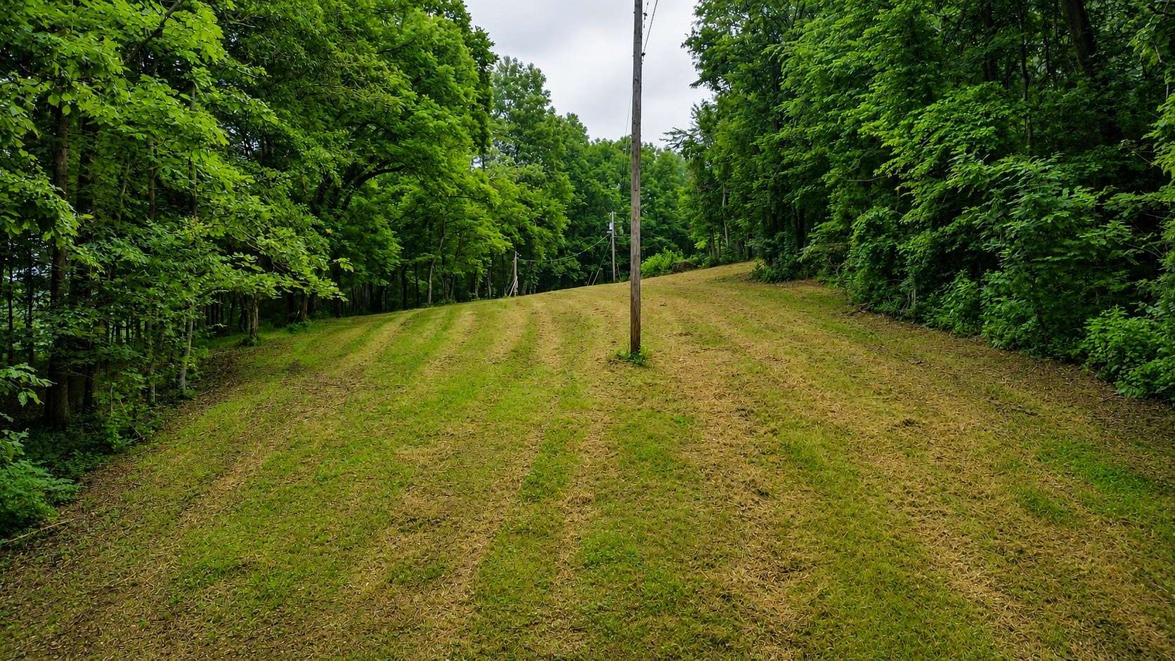 3.6 Acres of Residential Land for Sale in Prospect, Tennessee